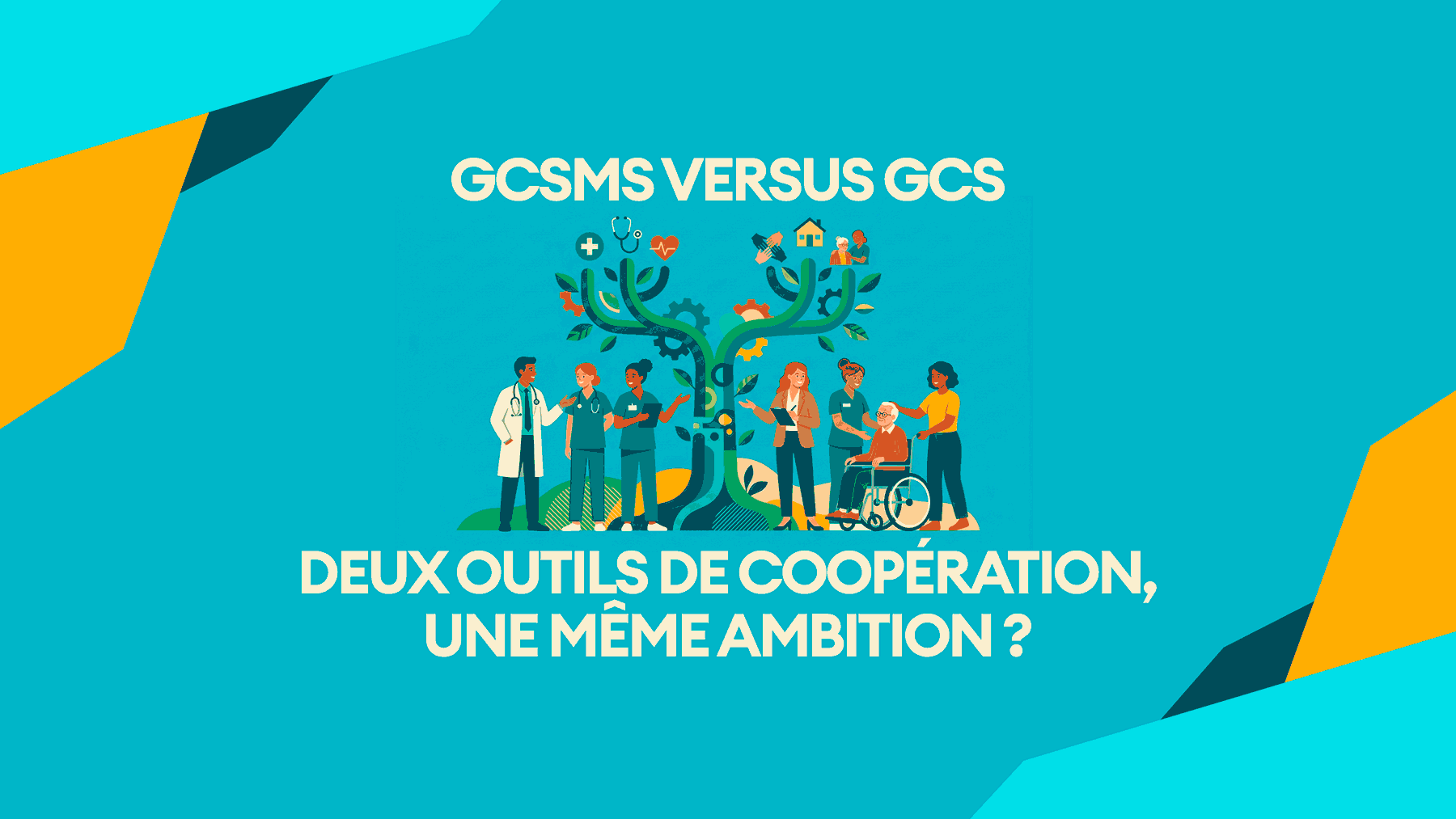 14 GCS GCSMS medicosocial comparaison